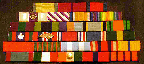 Bandy's Campaign Ribbons