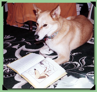 Book and Pippin