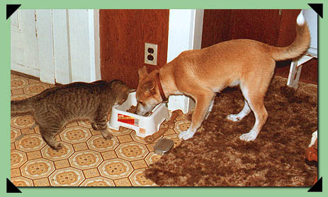 Pippin and Grig