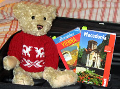 Suitcase with bear and guide books for vienna and macedonia